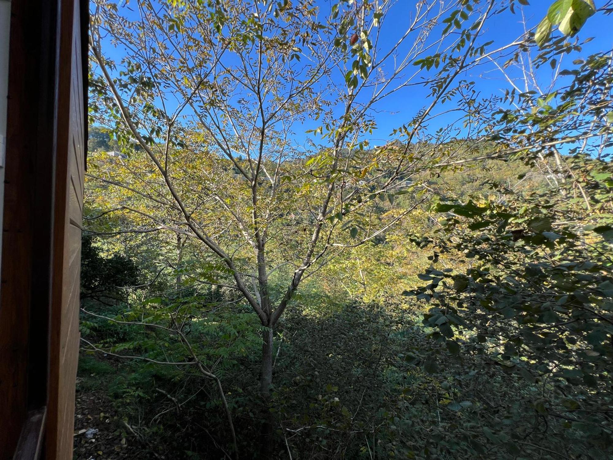 Green Zyland Alpha Μπατούμι Εξωτερικό φωτογραφία